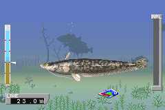 Exciting Bass (J) [0957] - screen 1