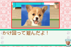 Koinu to Issho - Aijou Monogatari (J) [1176] - screen 1