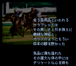 Classic Road II (J) - screen 2