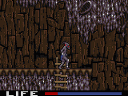 Shadow of the Beast (1992) - screen 3