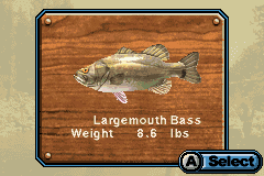 Rapala Pro Fishing (U)[1634] - screen 2