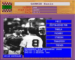 Liga Polska - screen 1