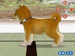 Nintendogs - Shiba & Friends (J) [0068] - screen 1