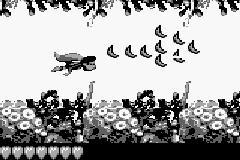 Donkey Kong Land III (U) [S][!] - screen 1