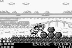 Sumou Fighter - Toukaidou Basho (J) [!] - screen 1