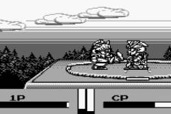 Versus Hero - Kakutou Ou heno Michi (J) - screen 2