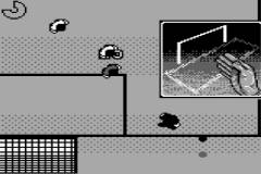 World Cup USA '94 (UE) (M8) [!] - screen 2