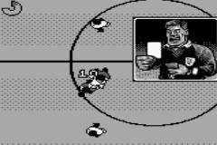 World Cup USA '94 (UE) (M8) [!] - screen 1