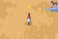 Horse And Pony Lets Ride 2 (E) [2177] - screen 1