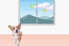 Pocket Dogs (U) [2300] - screen 4