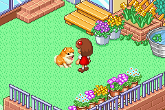 Dogz (E) [2576] - screen 2