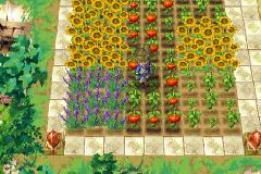 Innocent Life: A Futuristic Harvest Moon - screen 3