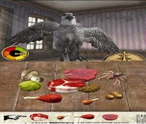 Harry Potter and The Order of the Phoenix (E) [1193] - screen 2