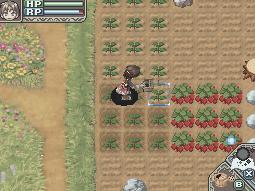 Rune Factory - A Fantasy Harvest Moon (U) [1330] - screen 2