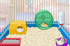 Petz - Hamsterz Life 2 (U) [2786] - screen 1