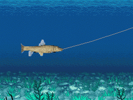 River King : Mystic Valley (U) [2268] - screen 1