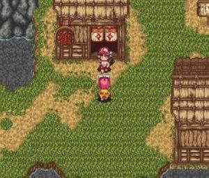 Izuna 2: The Unemployed Ninja Returns (U) [2496] - screen 1