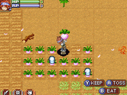 Rune Factory 2 - A Fantasy Harvest Moon (U) [2979] - screen 2