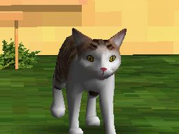 My Pet Kitten (E) [3254] - screen 2