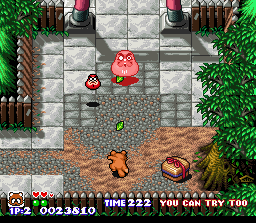 Pocky & Rocky (U) [!] - screen 2