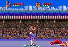 Ultimate Fighter (U) - screen 1